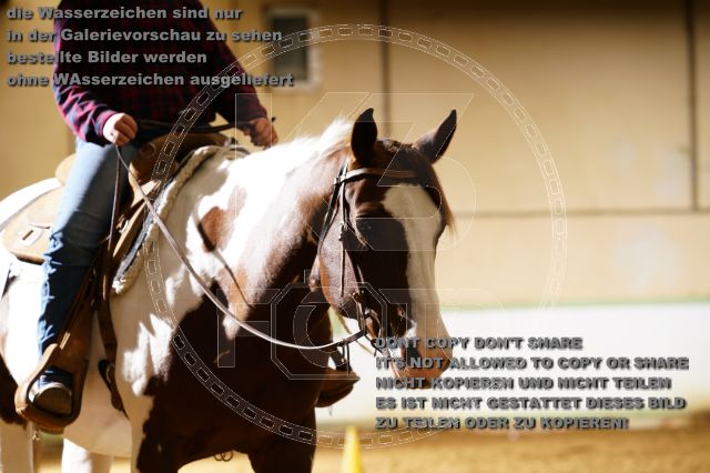 s_K3F06241.JPG
